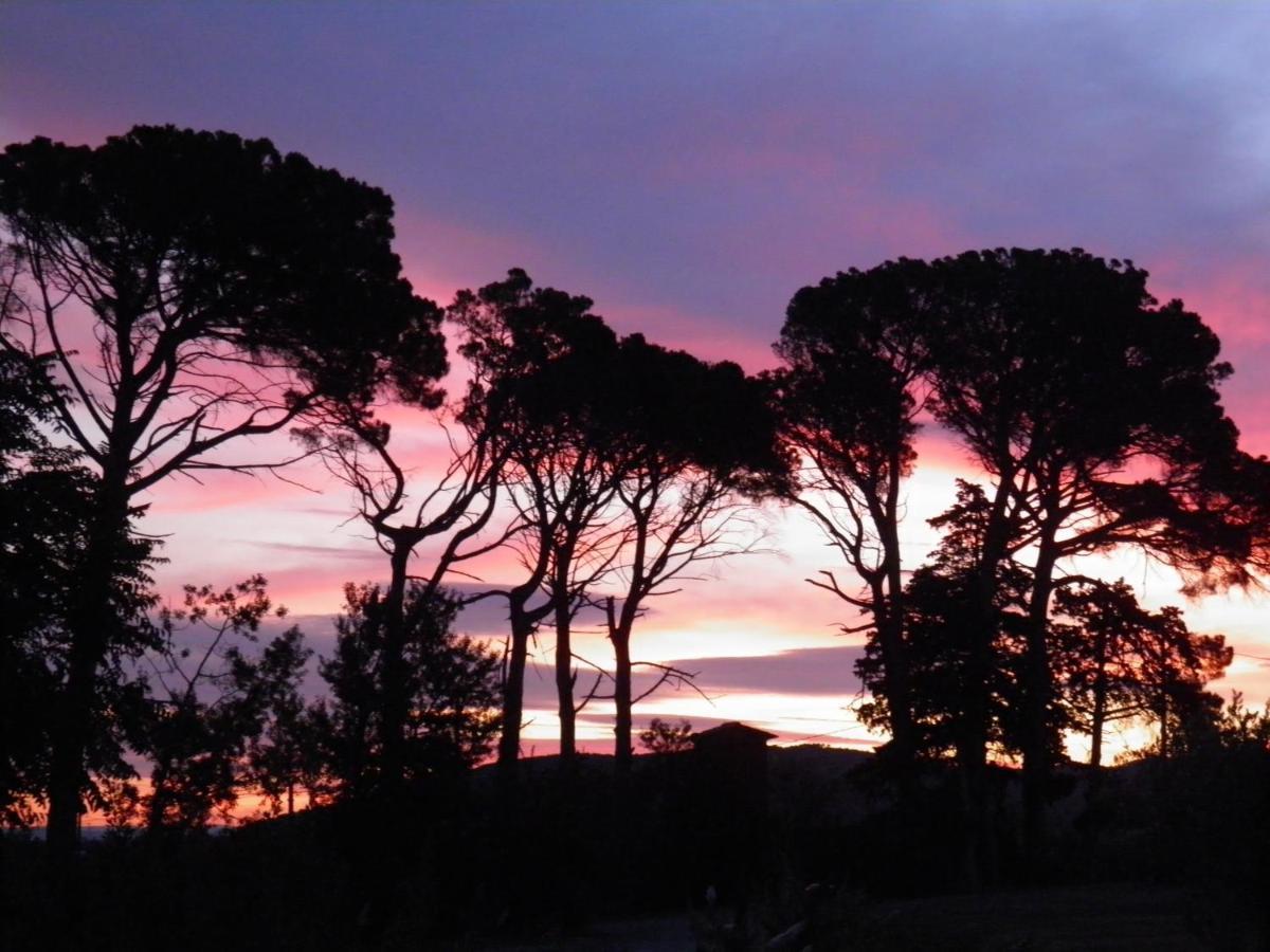 Villa Aigues Vives Boutenac Dış mekan fotoğraf