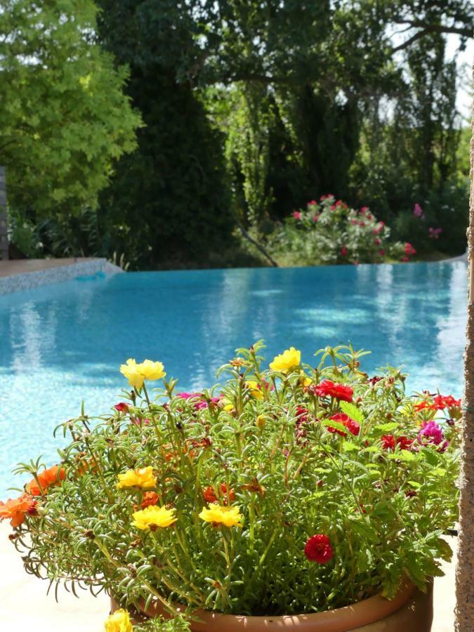 Villa Aigues Vives Boutenac Dış mekan fotoğraf
